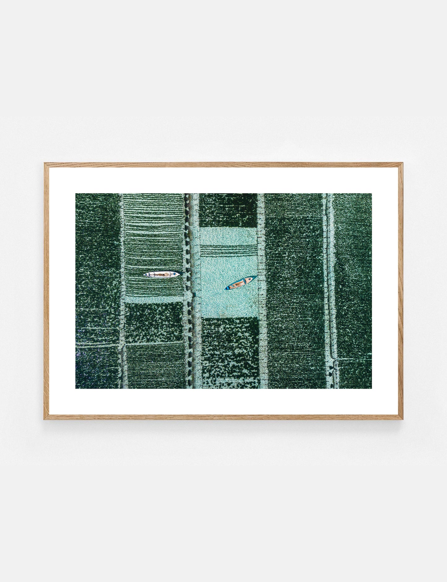 framed artwork seaweed plantations