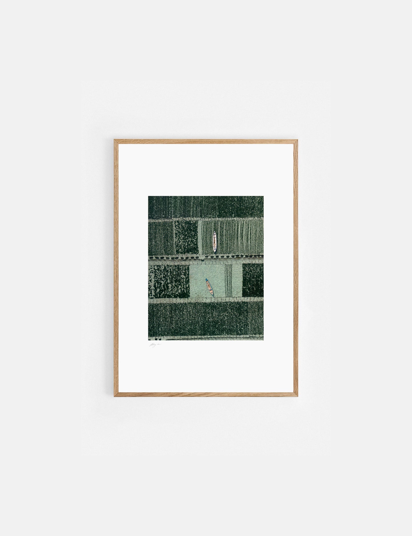Framed artwork with a seaweed plantation.