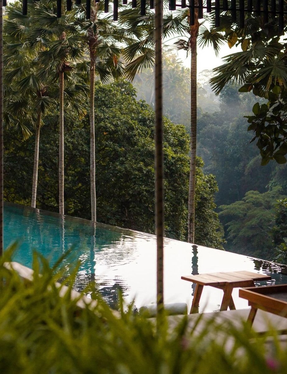 Ubud Travel Guide by STAY IN