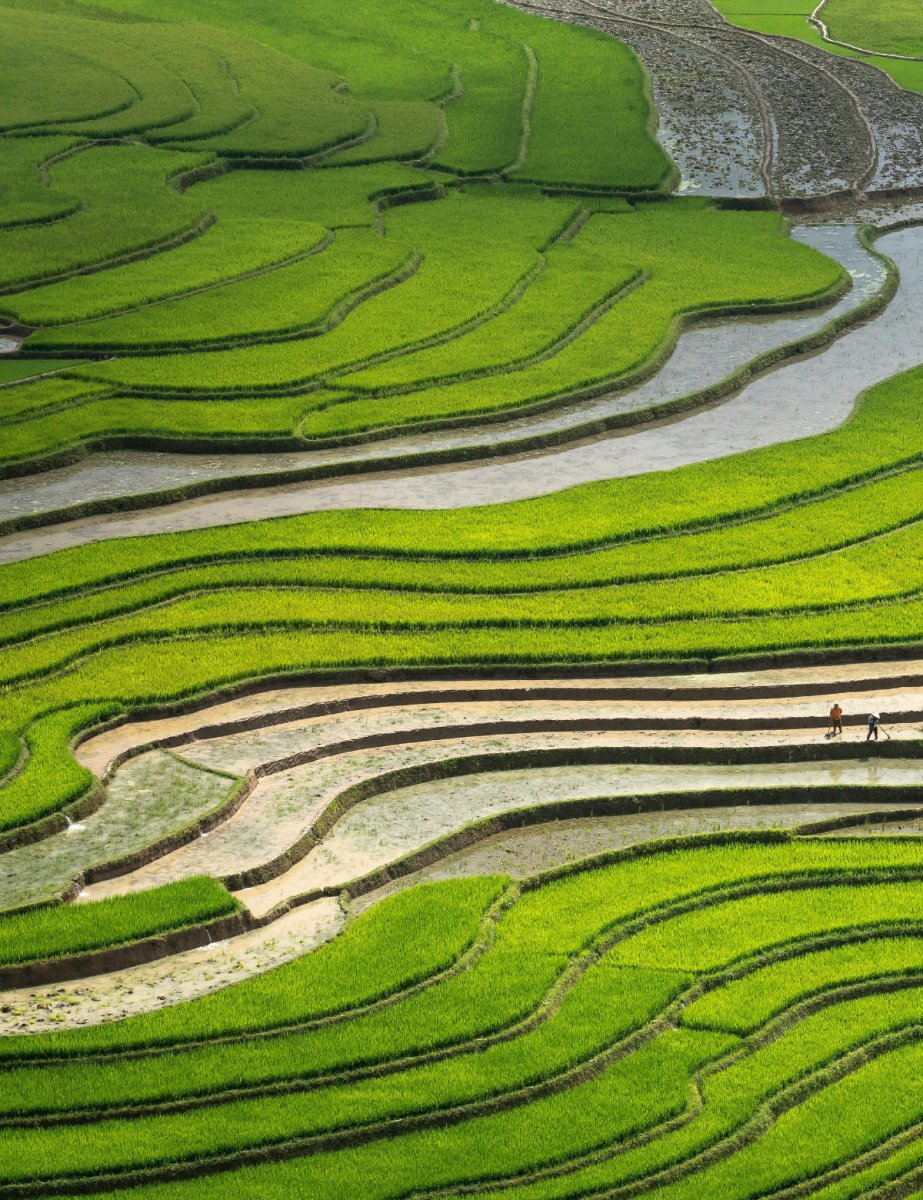Ubud Travel Guide by STAY IN