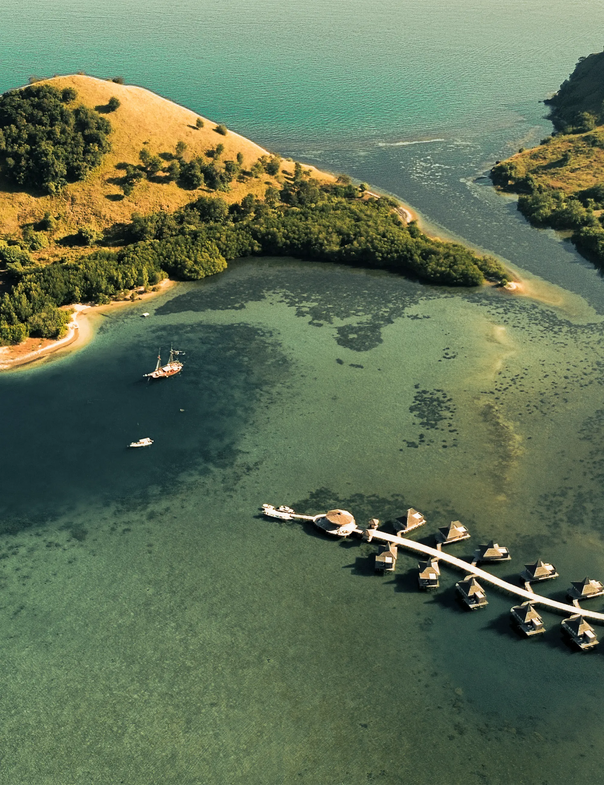 Aerial view of a dock with boats on a large body of water surrounded by greenery.