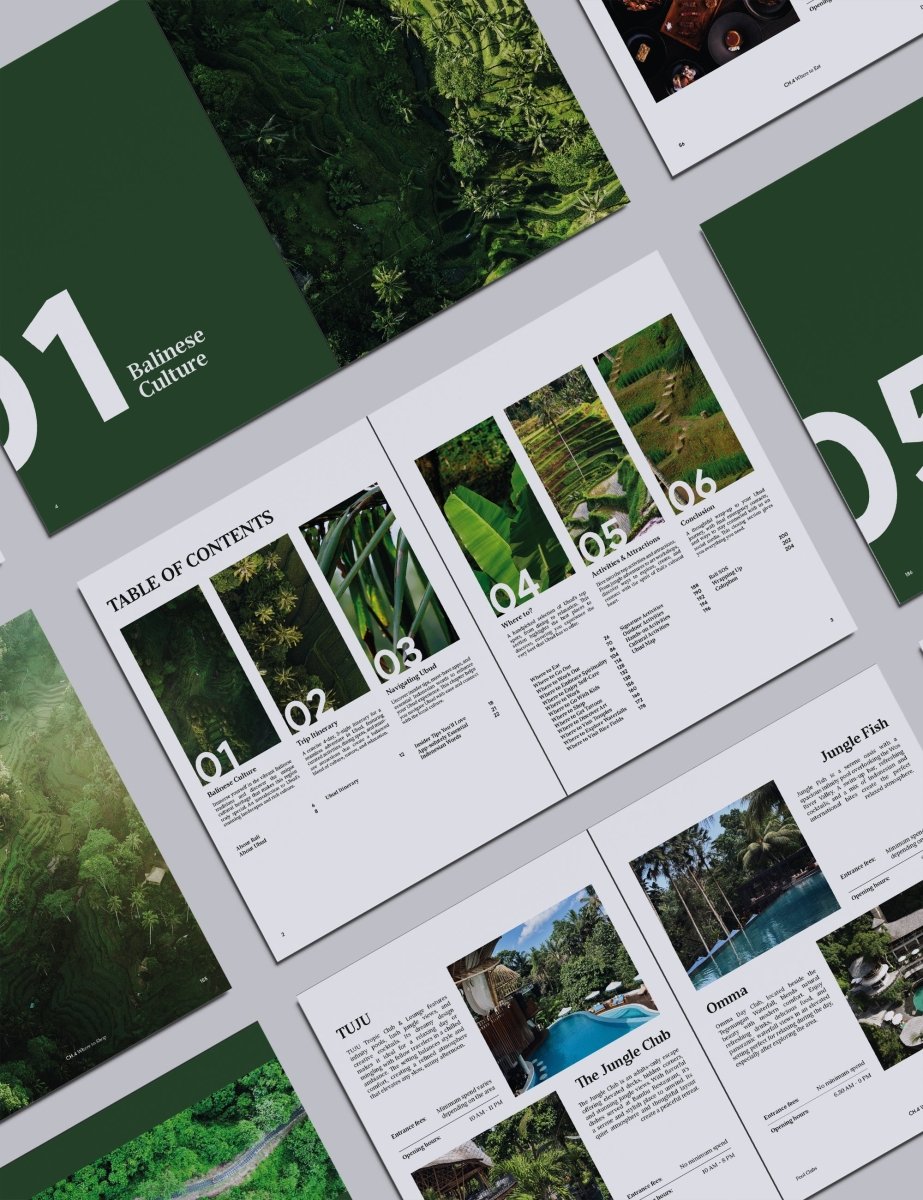 Ubud Travel Guide by STAY IN