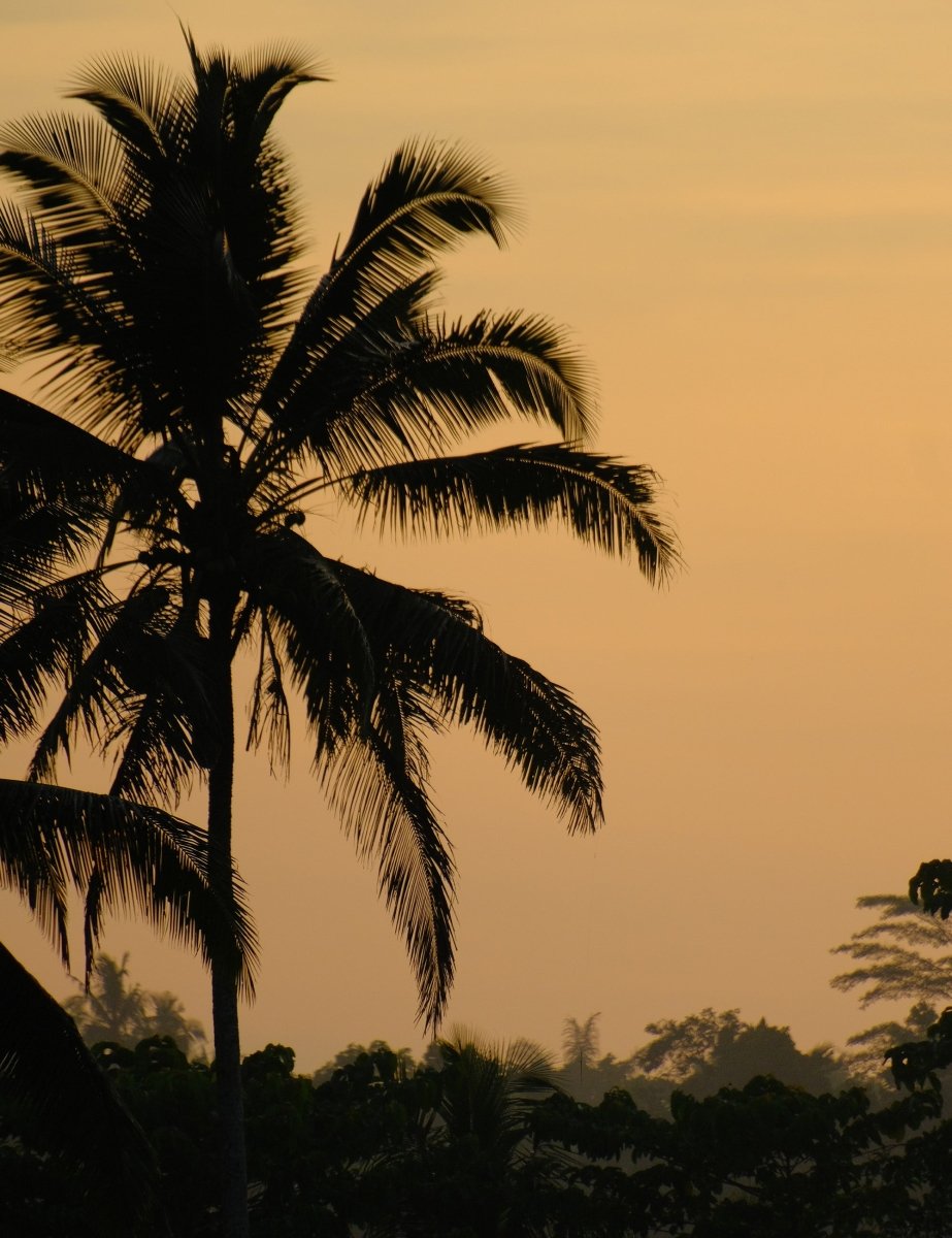 Ubud Travel Guide by STAY IN